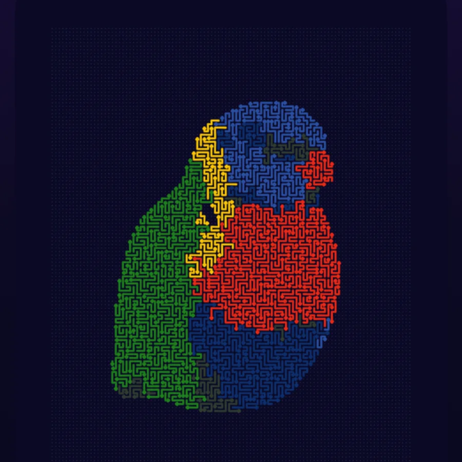 Parrot transformed into an Arrow Maze